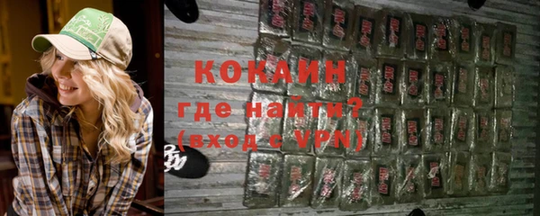 mix Богородицк
