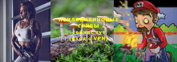 таблы Богданович