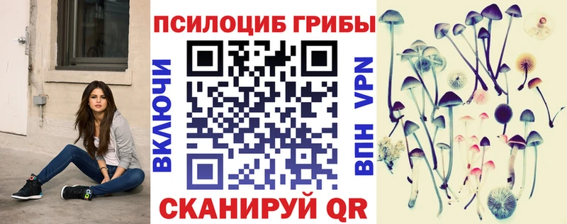 Псилоцибиновые грибы Magic Shrooms  Купить где  Циолковский 